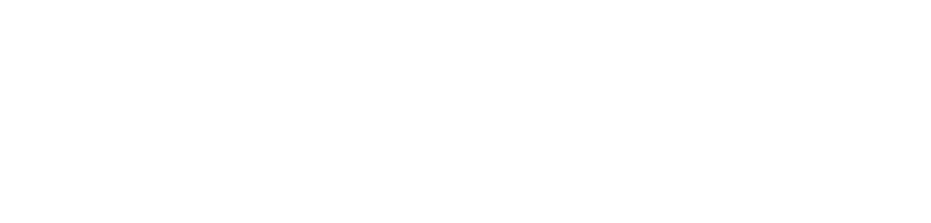 Solutive AI